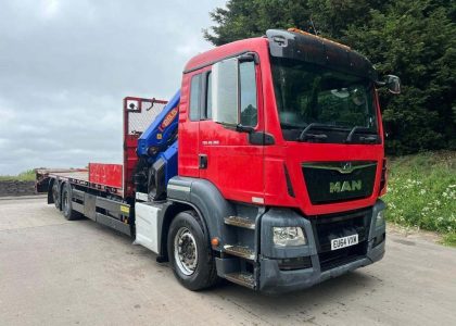 Shoma Crane Hire: Your Go-To Crane Services for Statues and Art Installations in London