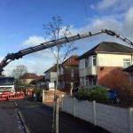 The Role of Hiab Cranes in Home Renovations